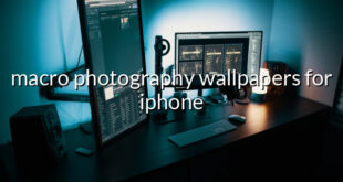 macro photography wallpapers for iphone