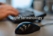 apple terminology