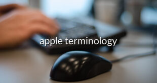 apple terminology